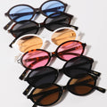 Collection of colorful sunglasses on a white background
