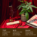 Incense stick with smoke, potted plant, and books on red fabric