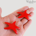 French Amie Star Fish Small Hair Clips Cellulose Acetate Beach Barrette Slide Set of 2: Tokyo