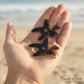 French Amie Star Fish Small Hair Clips Cellulose Acetate Beach Barrette Slide Set of 2: Tokyo