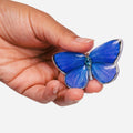 Allie Butterfly Clips in Light Catchers