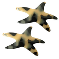 French Amie Star Fish Small Hair Clips Cellulose Acetate Beach Barrette Slide Set of 2: Tokyo