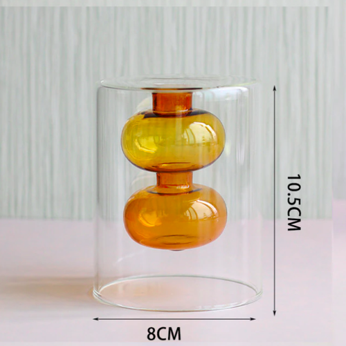 Hydroponic Transparent Glass Vase